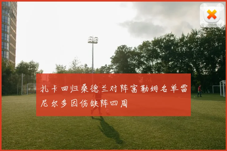 扎卡回归桑德兰对阵富勒姆名单雷尼尔多因伤缺阵四周
