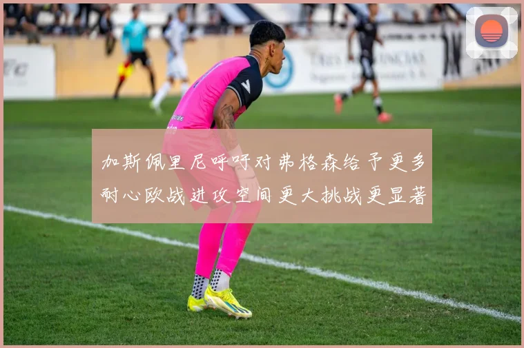 加斯佩里尼呼吁对弗格森给予更多耐心欧战进攻空间更大挑战更显著