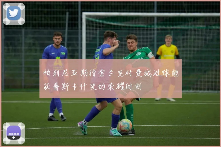 帕利尼亚期待索兰克对曼城进球能获普斯卡什奖的荣耀时刻