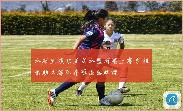 加布里埃尔正式加盟海港上赛季租借助力球队夺冠成就辉煌