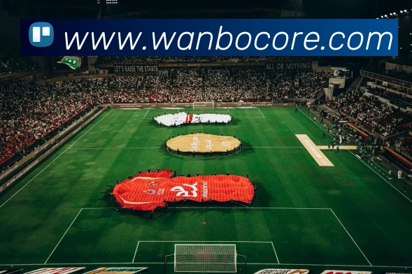 万博体育平台生态图