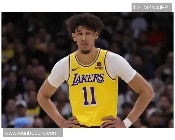 海斯戴维斯谈NBA与欧洲篮球差异强调聪明打球的重要性