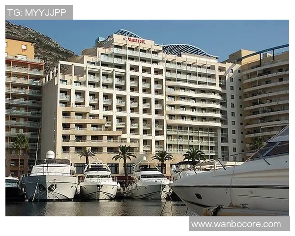 英媒称戴尔在摩纳哥表现抢眼接近被英格兰征召图赫尔密切关注其动态